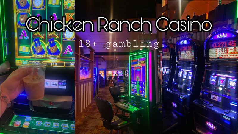 Guide to chicken road casino