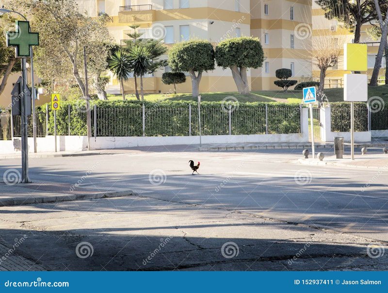 Spain - chicken road oficial